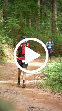 BIB:  <button type="button" onclick="openModal(26813771)" class="btn btn-primary btn-sm float-right" data-toggle="modal" data-target=".modal-high-quality">
                <i class="fa fa-download"></i> Download
                </button>